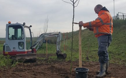 Landschappelijke beplanting